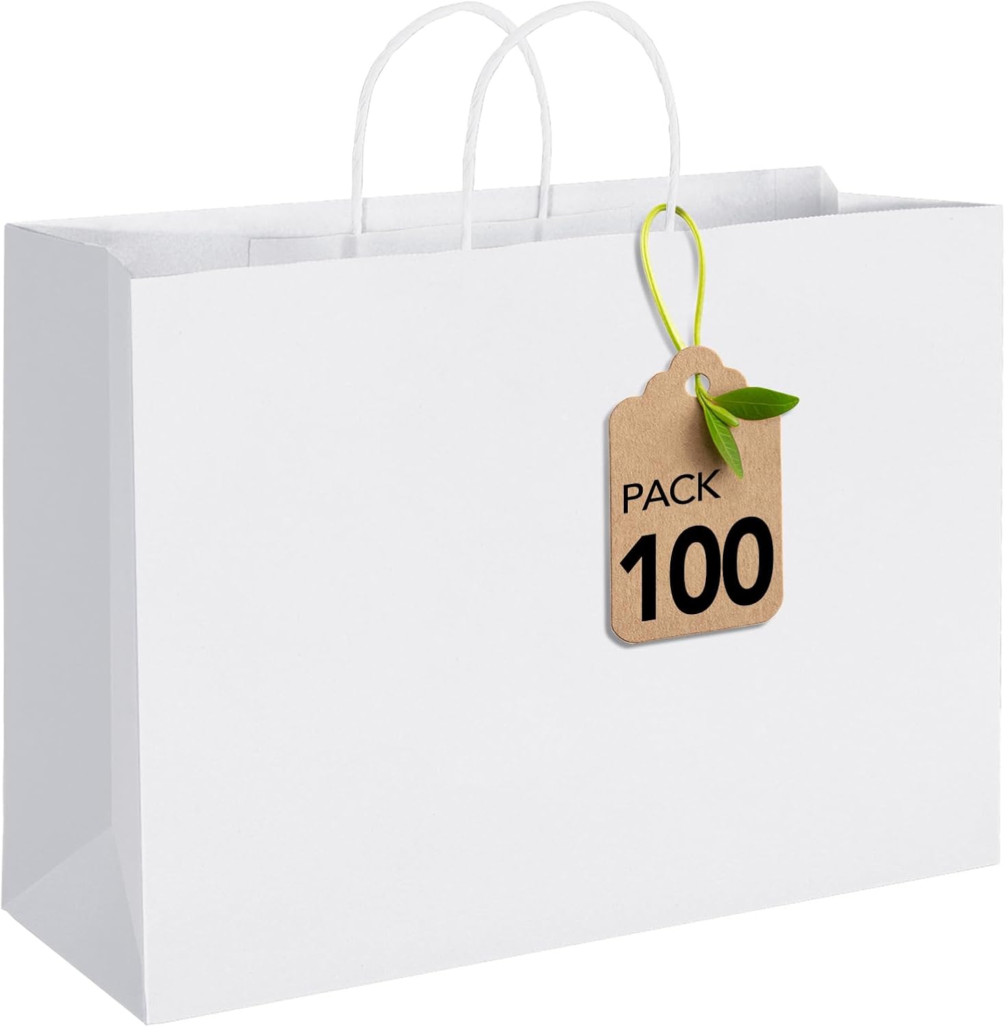 Foldable Reinforced Kraft Bags
